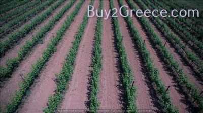 Residential Land For Sale in Triglia, Greece