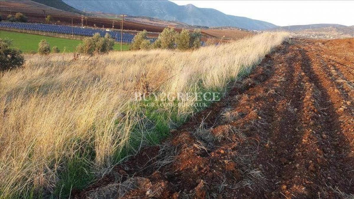 Picture of Residential Land For Sale in Boeotia, Other, Greece
