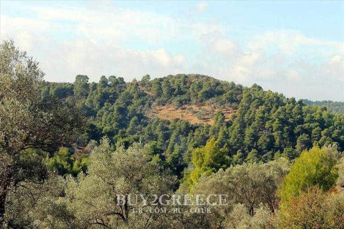 Picture of Residential Land For Sale in Evia, Other, Greece