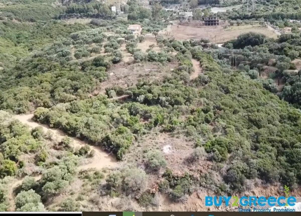 Picture of Residential Land For Sale in Efpalio, Other, Greece