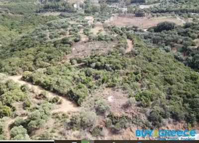 Residential Land For Sale in Efpalio, Greece