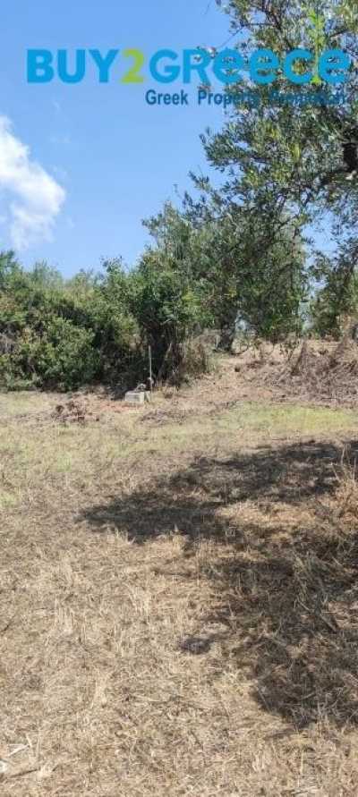Residential Land For Sale in Messinia, Greece