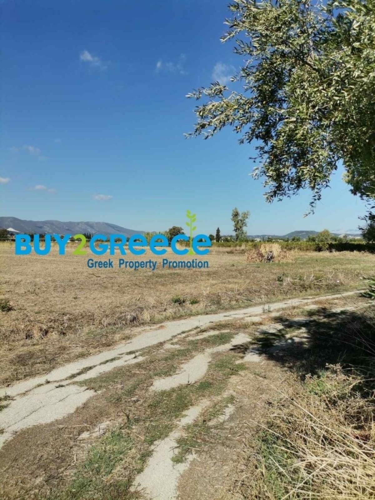 Picture of Residential Land For Sale in Main, Other, Greece