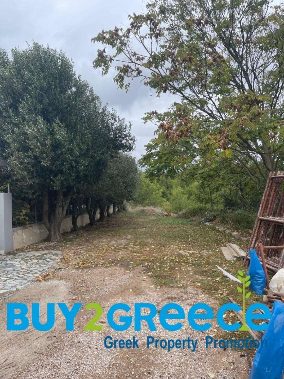 Picture of Residential Land For Sale in Athens, Attica, Greece