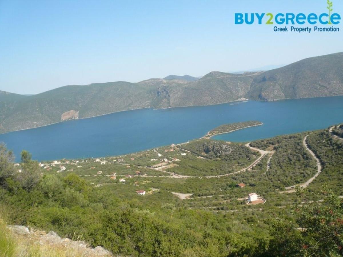 Picture of Residential Land For Sale in Anthidonos, Other, Greece