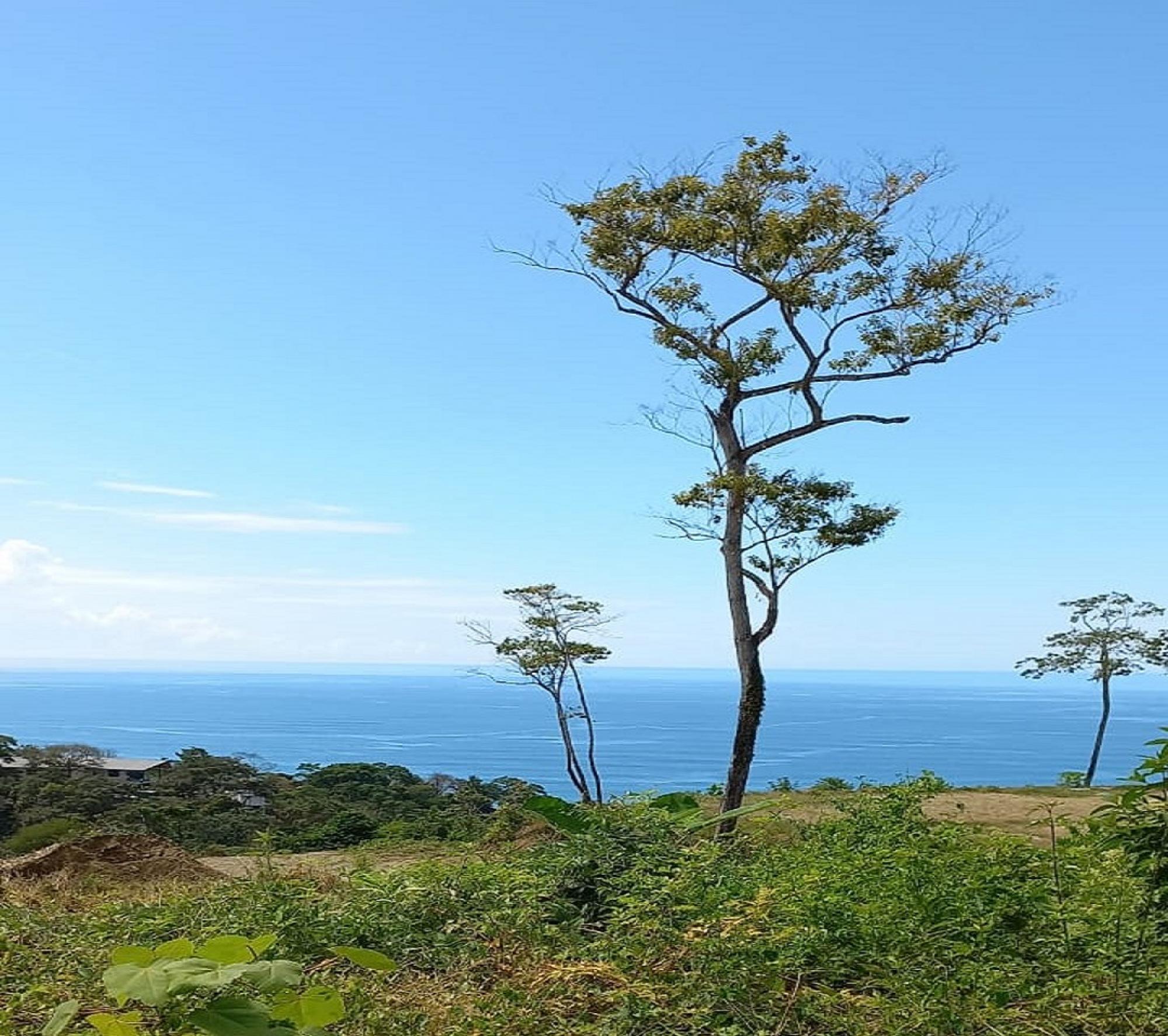 Picture of Development Site For Sale in Hermosa, Puntarenas, Costa Rica