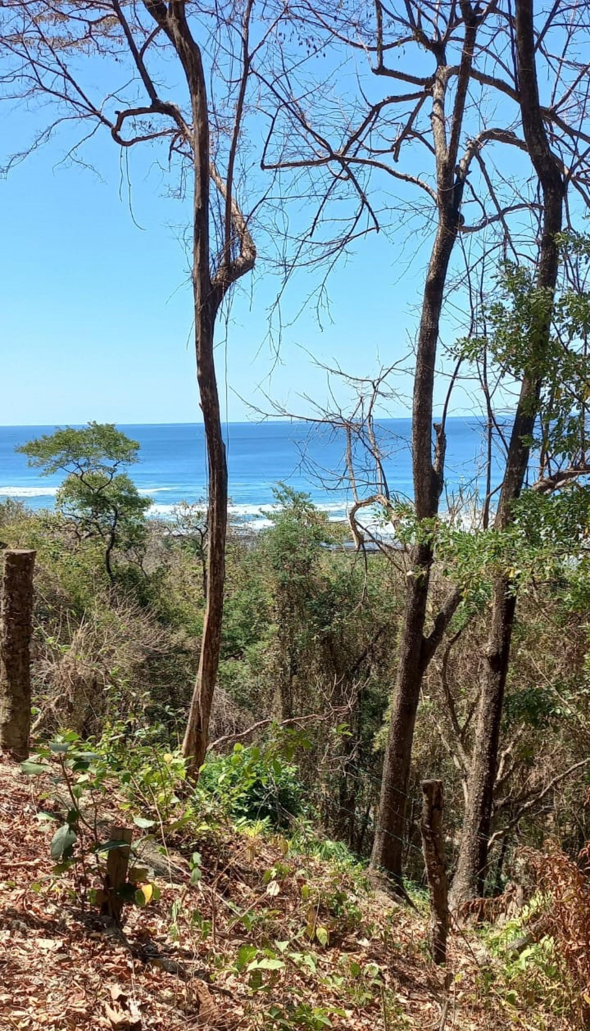 Picture of Development Site For Sale in Hermosa, Puntarenas, Costa Rica