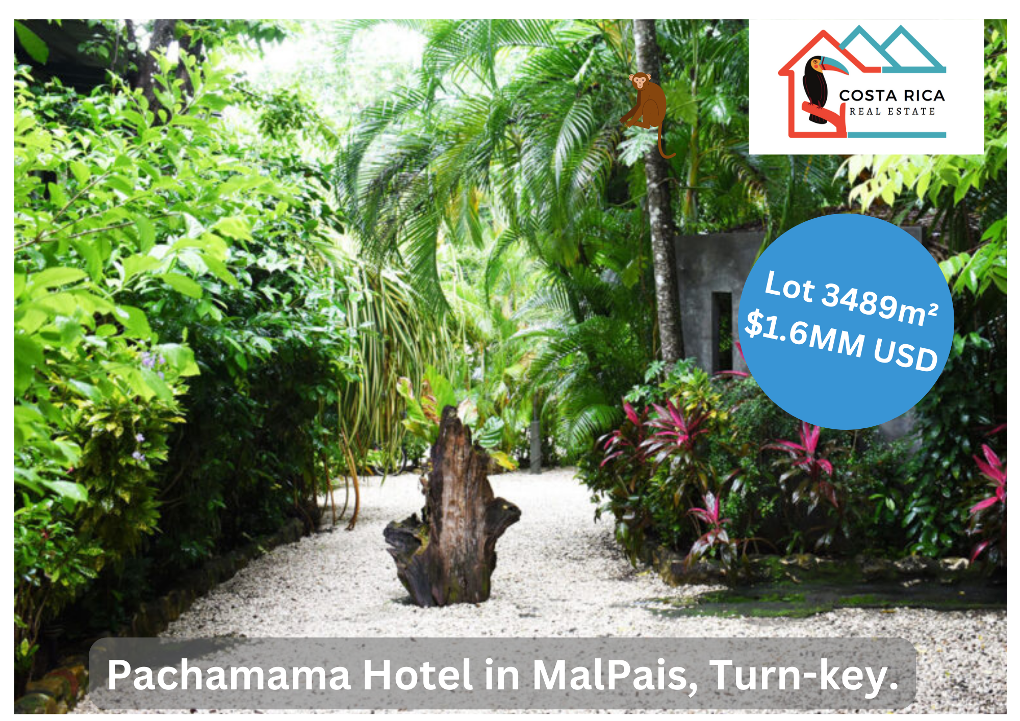 Picture of Hotel For Sale in Puntarenas, Puntarenas, Costa Rica