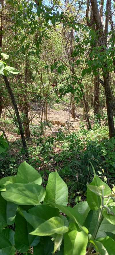 Residential Lots For Sale in Puntarenas, Costa Rica
