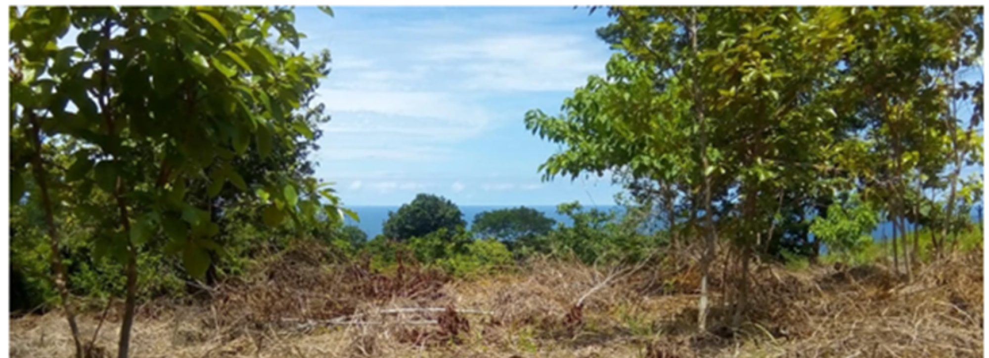 Picture of Residential Land For Sale in Puntarenas, Puntarenas, Costa Rica