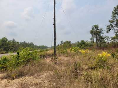 Farm For Sale in Independence, Belize