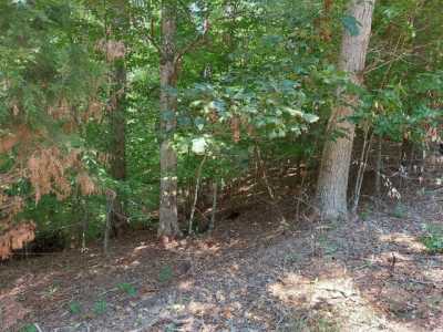 Residential Land For Sale in White Pine, Tennessee