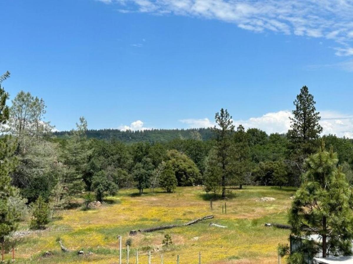 Picture of Home For Sale in Grass Valley, California, United States