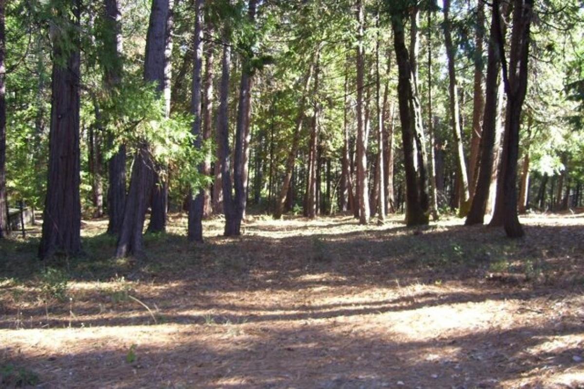 Picture of Residential Land For Sale in Grass Valley, California, United States