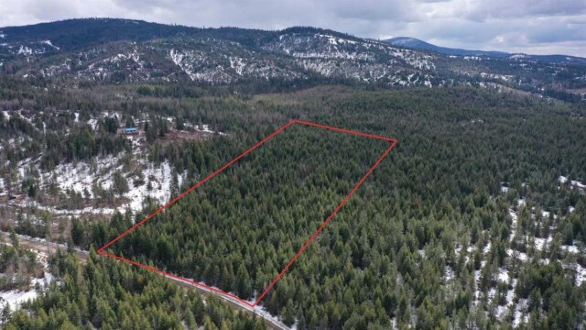 Picture of Residential Land For Sale in Elk, Washington, United States