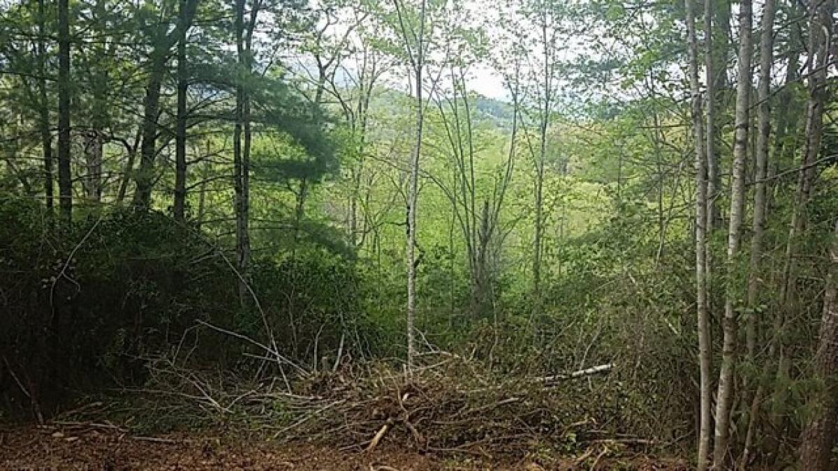 Picture of Residential Land For Sale in Whittier, North Carolina, United States