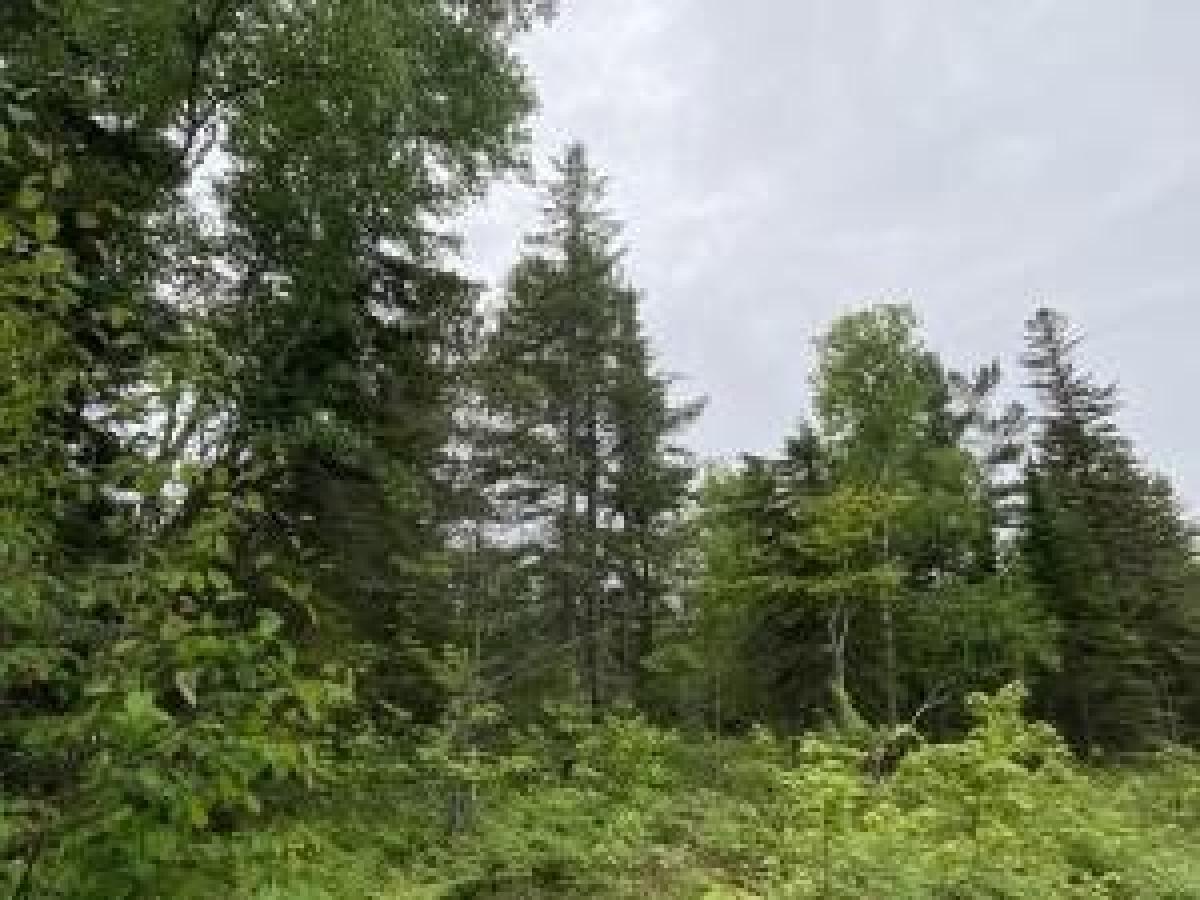 Picture of Residential Land For Sale in Paradise, Michigan, United States