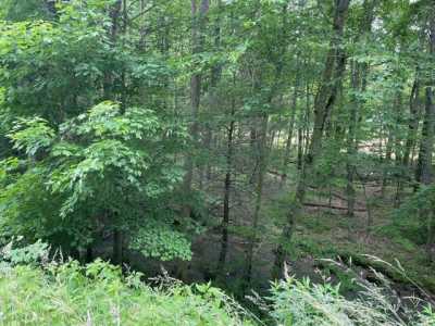 Residential Land For Sale in Whitetop, Virginia