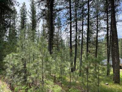 Residential Land For Sale in New Meadows, Idaho