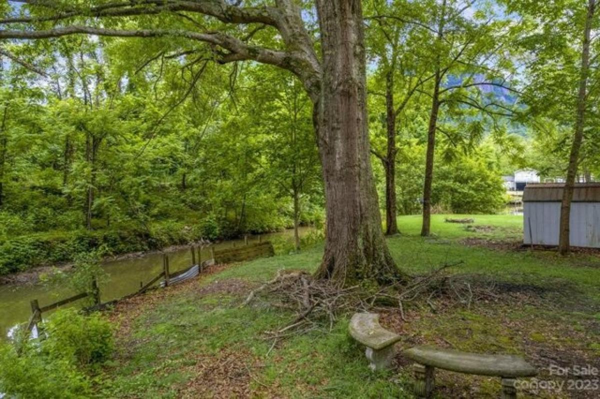 Picture of Home For Sale in Lake Lure, North Carolina, United States
