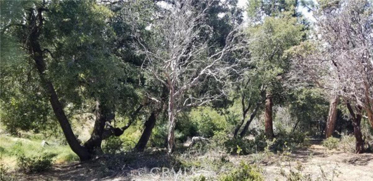 Picture of Residential Land For Sale in Idyllwild, California, United States