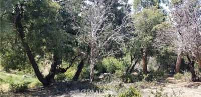 Residential Land For Sale in Idyllwild, California