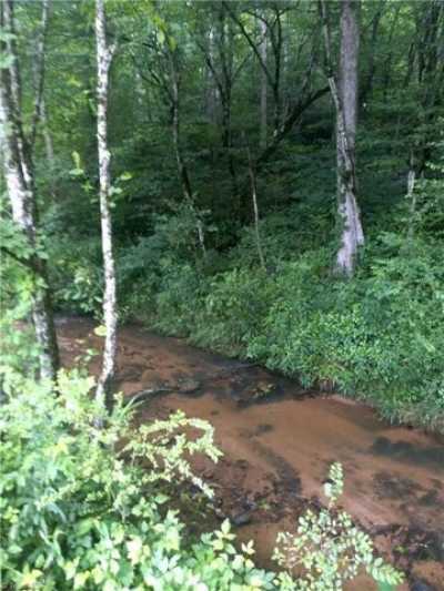 Residential Land For Sale in Roaring River, North Carolina