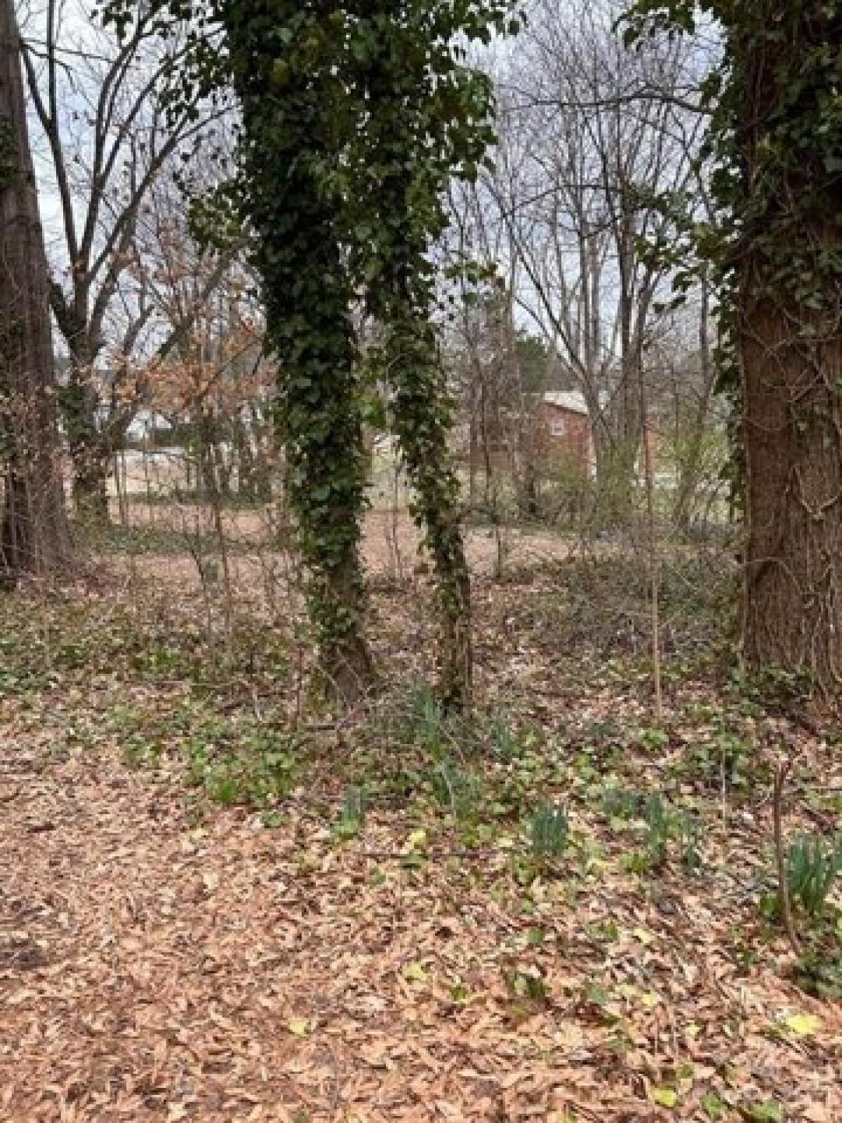 Picture of Residential Land For Sale in Hickory, North Carolina, United States