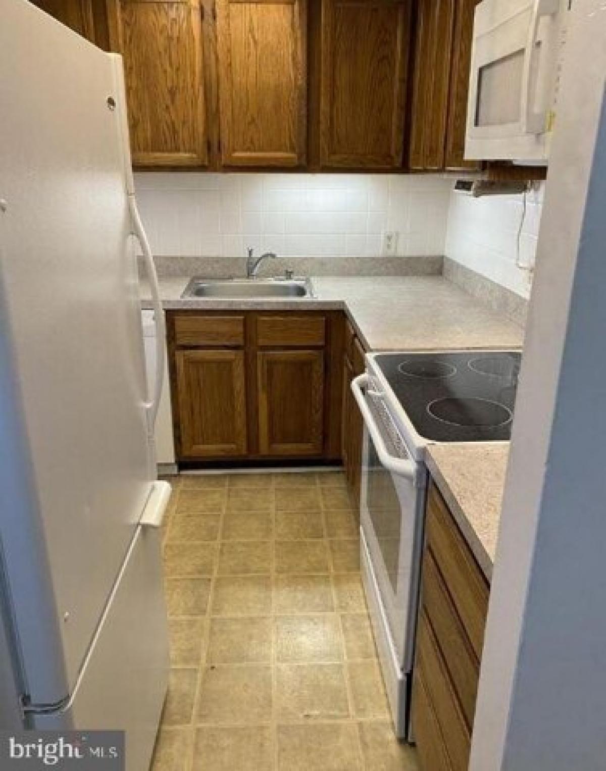 Picture of Apartment For Rent in Arlington, Virginia, United States