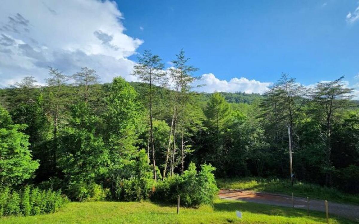 Picture of Residential Land For Sale in Turtletown, Tennessee, United States