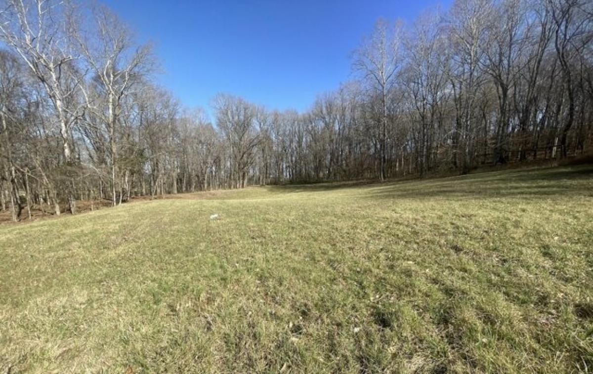 Picture of Residential Land For Sale in Franklin, Tennessee, United States