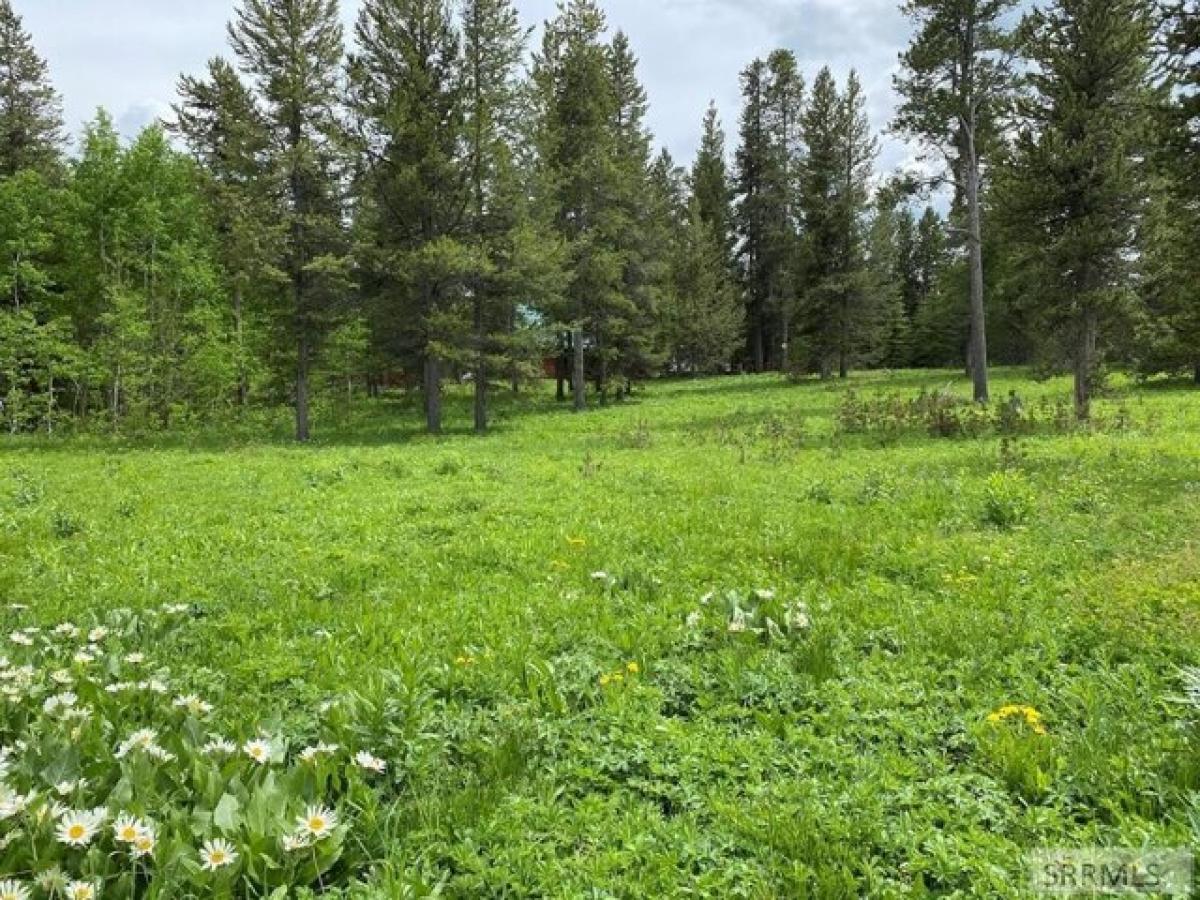 Picture of Residential Land For Sale in Island Park, Idaho, United States
