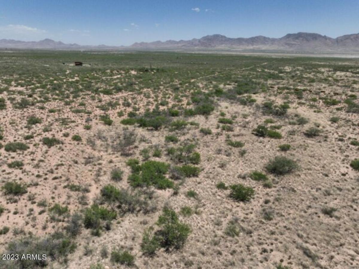 Picture of Residential Land For Sale in San Simon, Arizona, United States