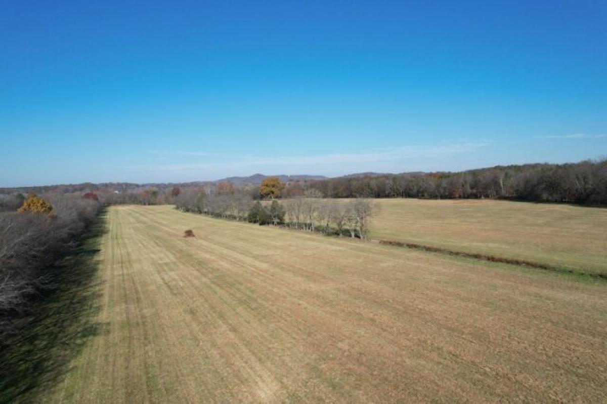 Picture of Residential Land For Sale in Franklin, Tennessee, United States