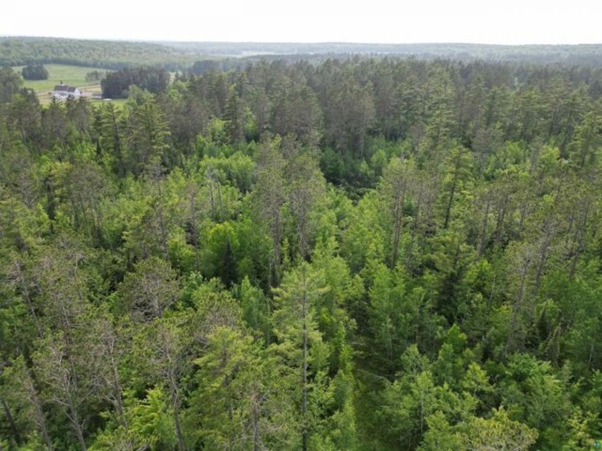 Picture of Residential Land For Sale in Mason, Wisconsin, United States