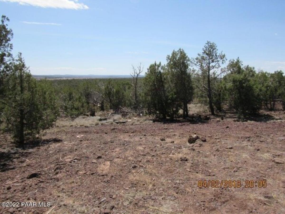 Picture of Residential Land For Sale in Ash Fork, Arizona, United States