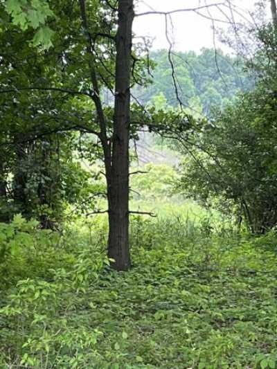 Residential Land For Sale in Dansville, Michigan
