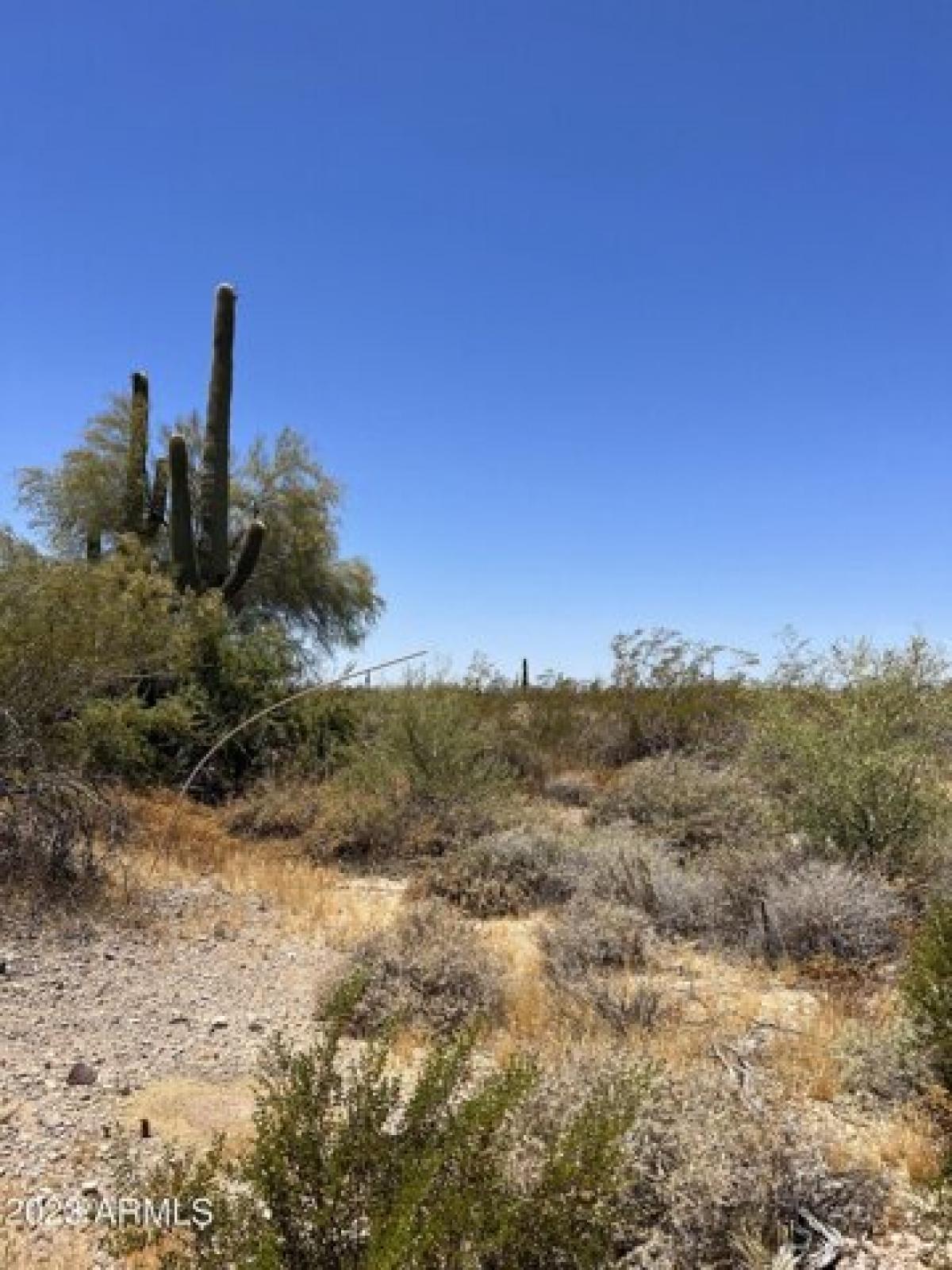 Picture of Residential Land For Sale in Tonopah, Arizona, United States