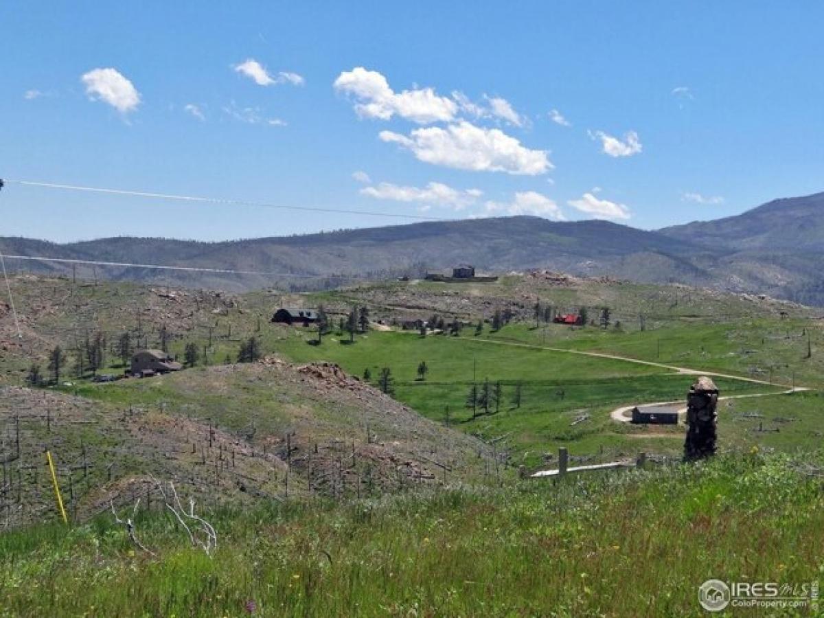 Picture of Residential Land For Sale in Livermore, Colorado, United States