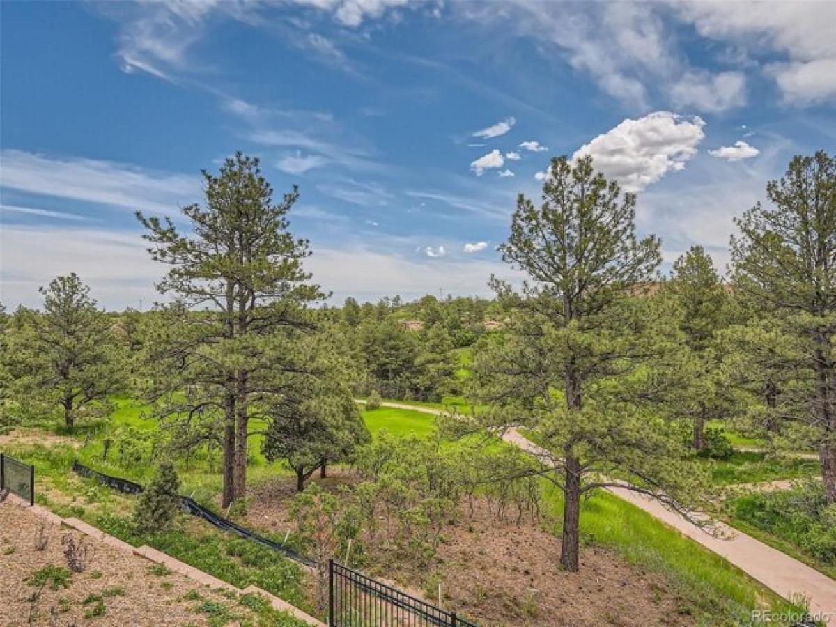 Picture of Home For Sale in Castle Rock, Colorado, United States