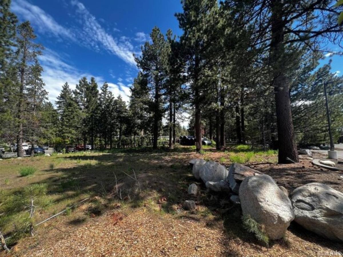 Picture of Residential Land For Sale in South Lake Tahoe, California, United States