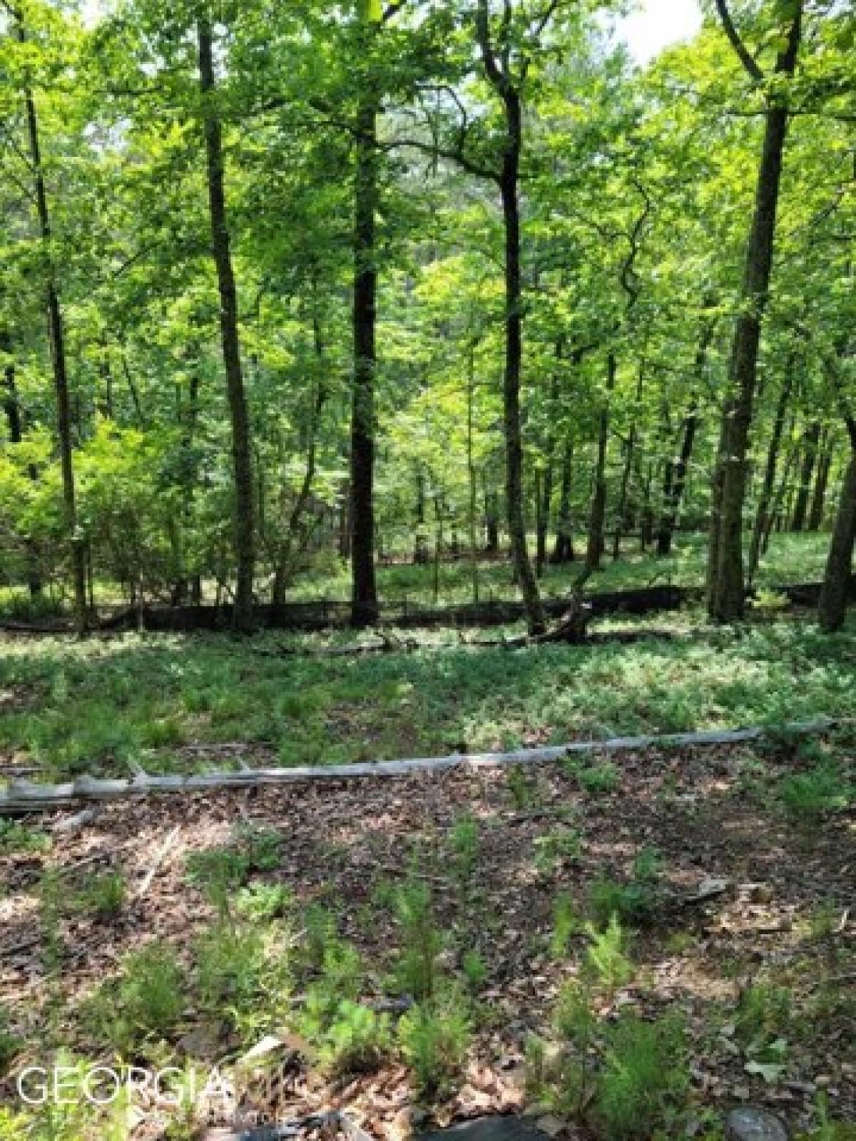 Picture of Residential Land For Sale in Cartersville, Georgia, United States