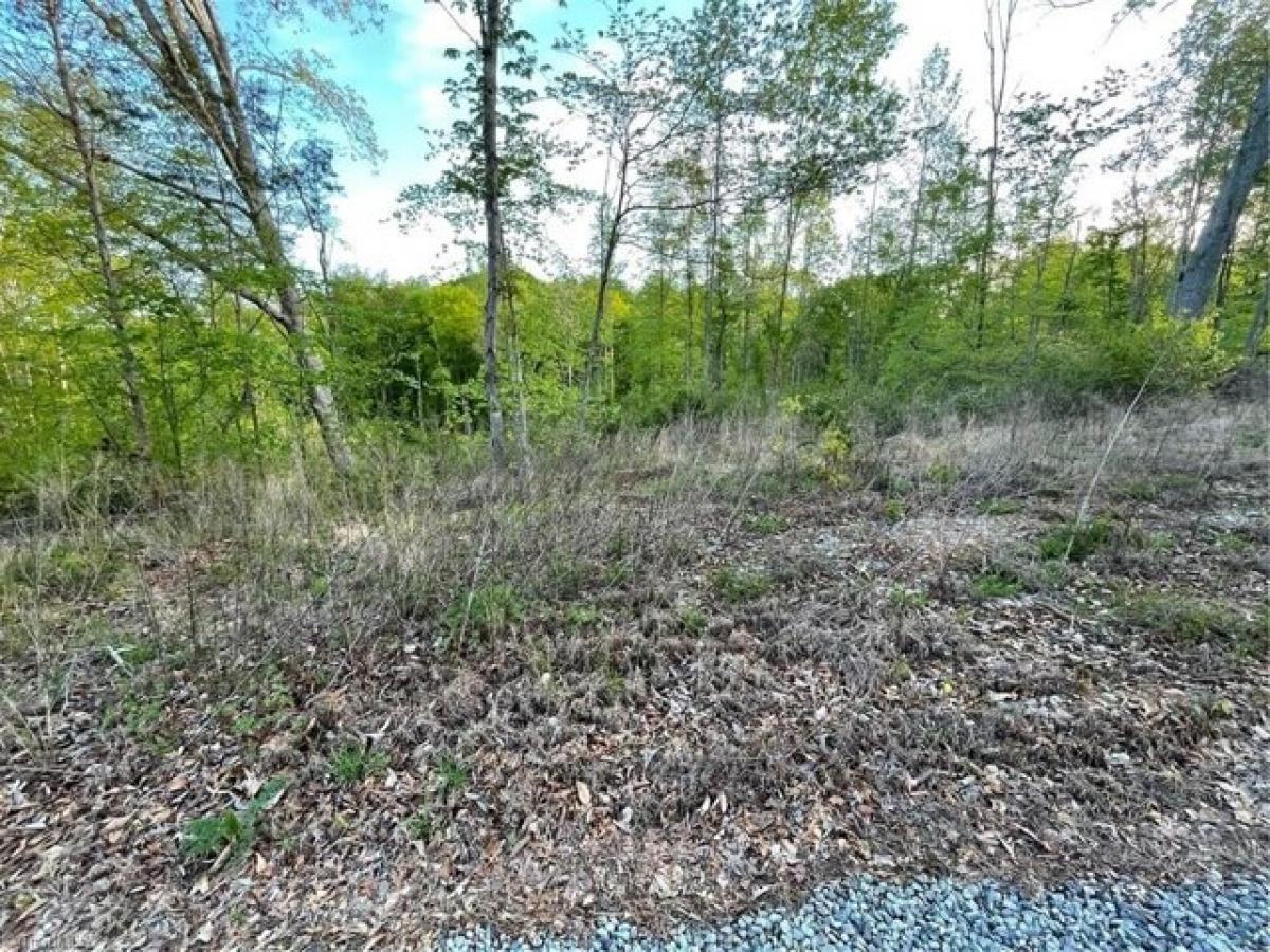 Picture of Residential Land For Sale in Lexington, North Carolina, United States
