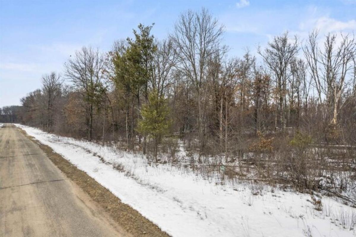 Picture of Residential Land For Sale in Necedah, Wisconsin, United States