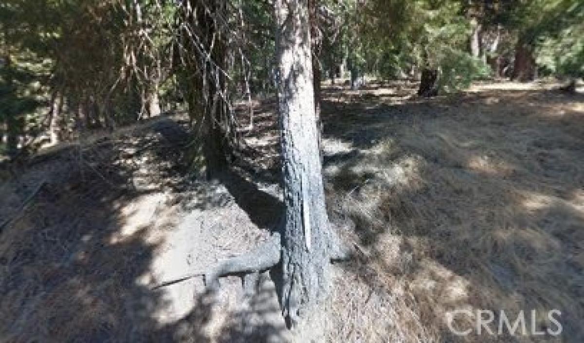 Picture of Residential Land For Sale in Cedarpines Park, California, United States