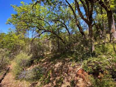 Residential Land For Sale in Weaverville, California