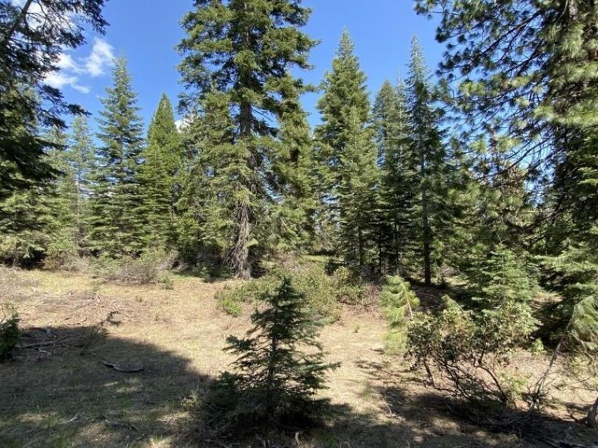Picture of Residential Land For Sale in McCloud, California, United States