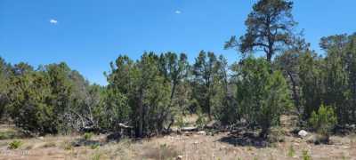 Residential Land For Sale in Overgaard, Arizona