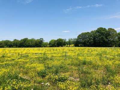 Residential Land For Sale in Summertown, Tennessee
