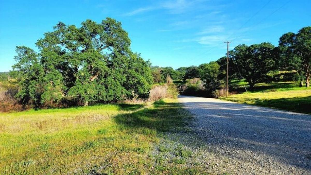 Picture of Residential Land For Sale in Grass Valley, California, United States